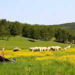 Akdağ Kocayayla