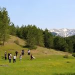 Akdağ Kocayayla 6