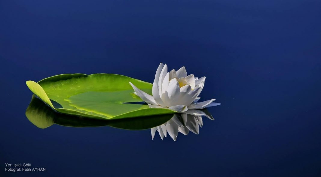 Gökgöl Işıklı Sulak Alanı