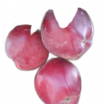 zyro-image