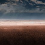 africa-bg3-11.jpg