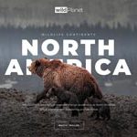 north-america-thumb1.jpg